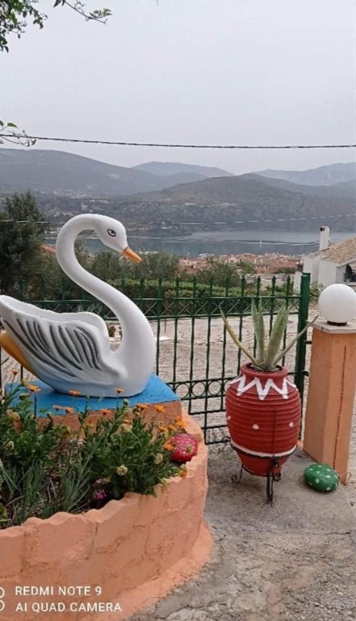 Elenh House Apartamento Argostoli  Exterior foto