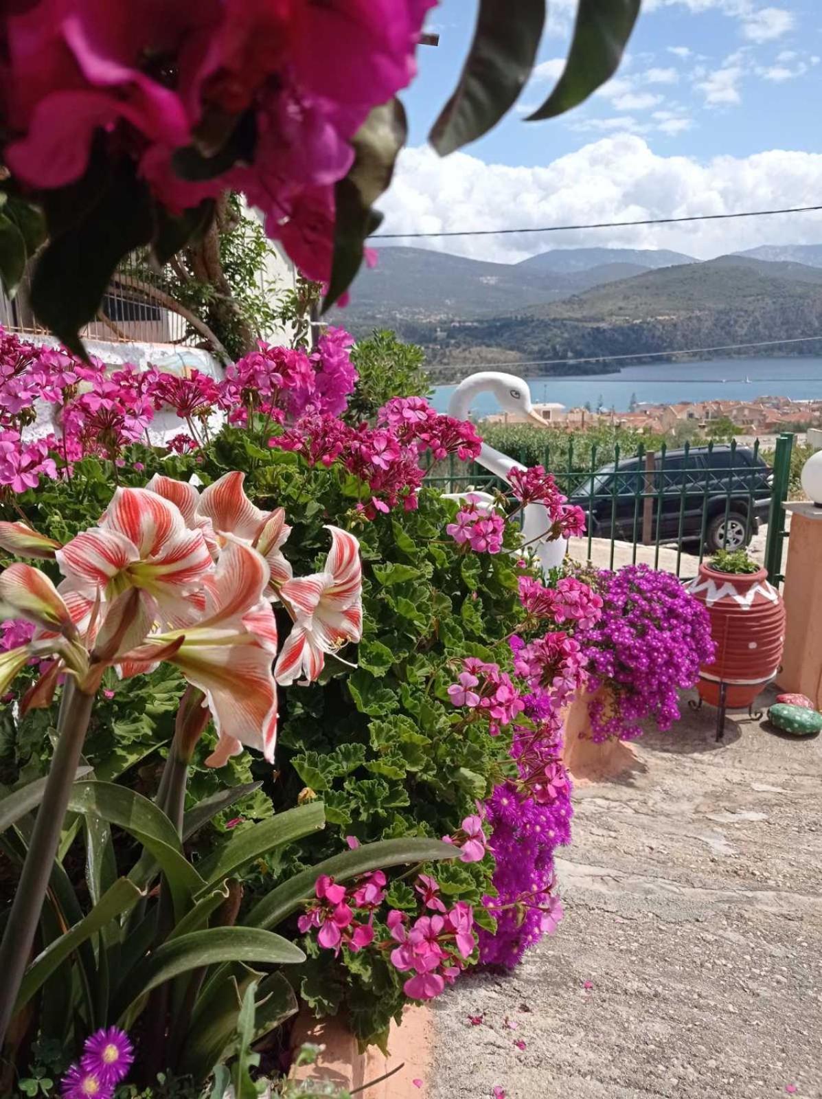 Elenh House Apartamento Argostoli  Exterior foto