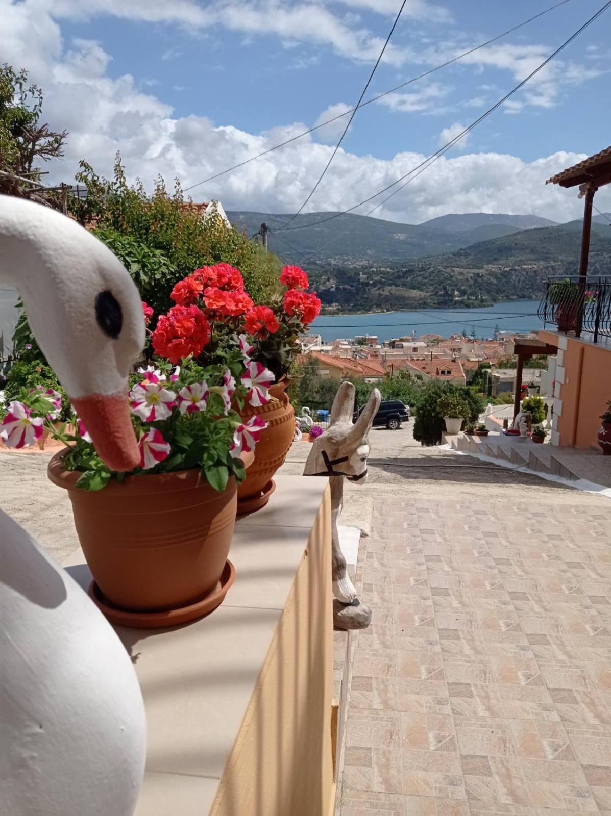 Elenh House Apartamento Argostoli  Exterior foto