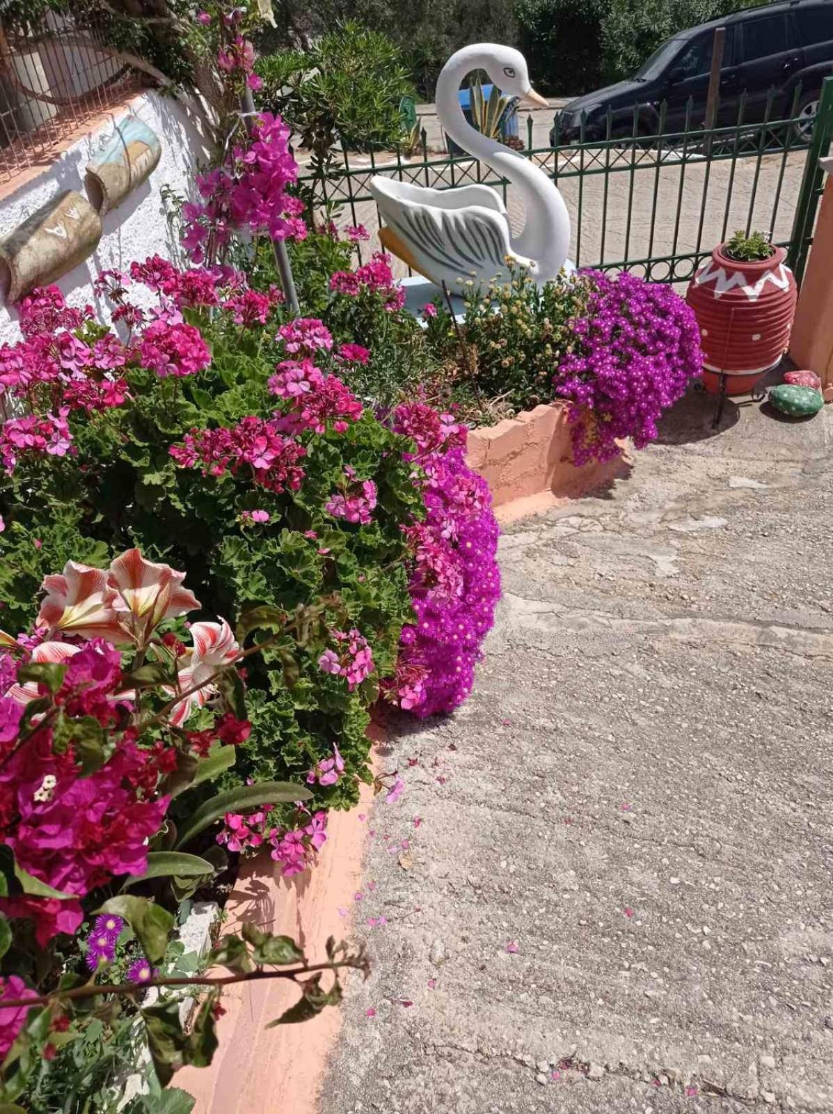 Elenh House Apartamento Argostoli  Exterior foto